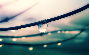 tilt shift photo of a water dew